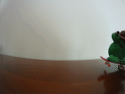 Froggy